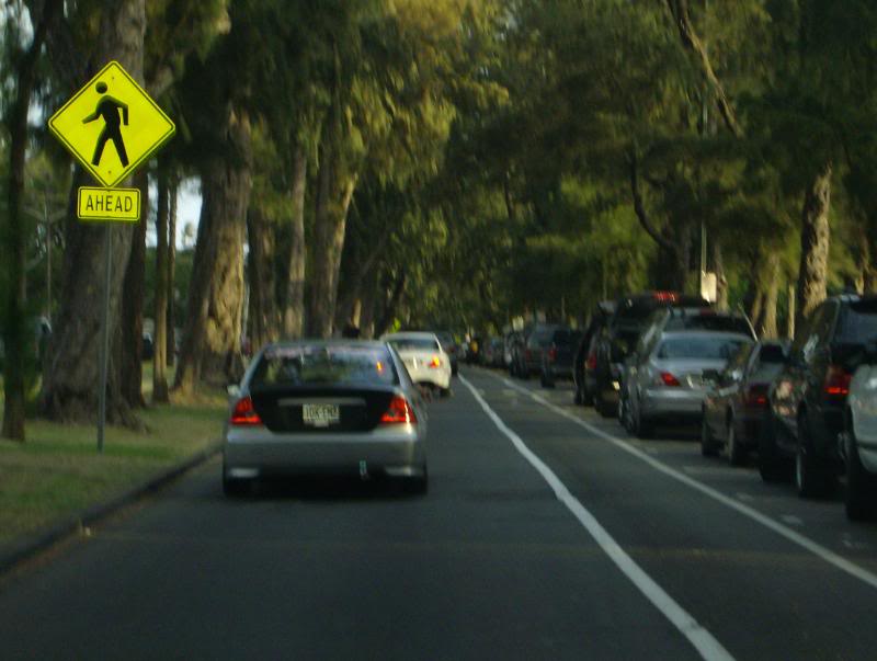 Name:  HPIM1999.jpg
Views: 513
Size:  53.6 KB