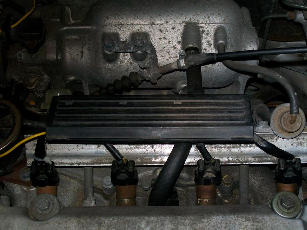 Name:  100_0223_small_a.jpg
Views: 76
Size:  115.5 KB