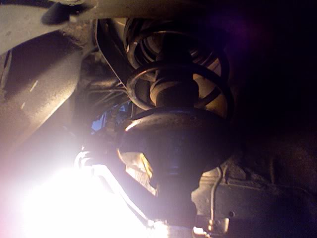 Name:  Photo137.jpg
Views: 17
Size:  27.9 KB