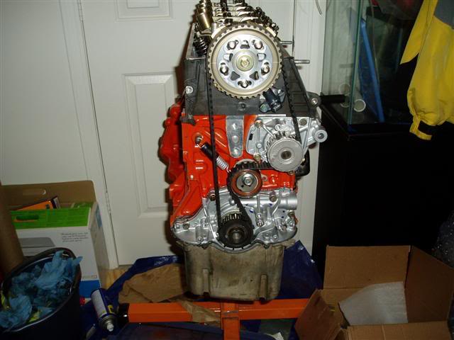 Name:  P1010158Small.jpg
Views: 16191
Size:  41.9 KB