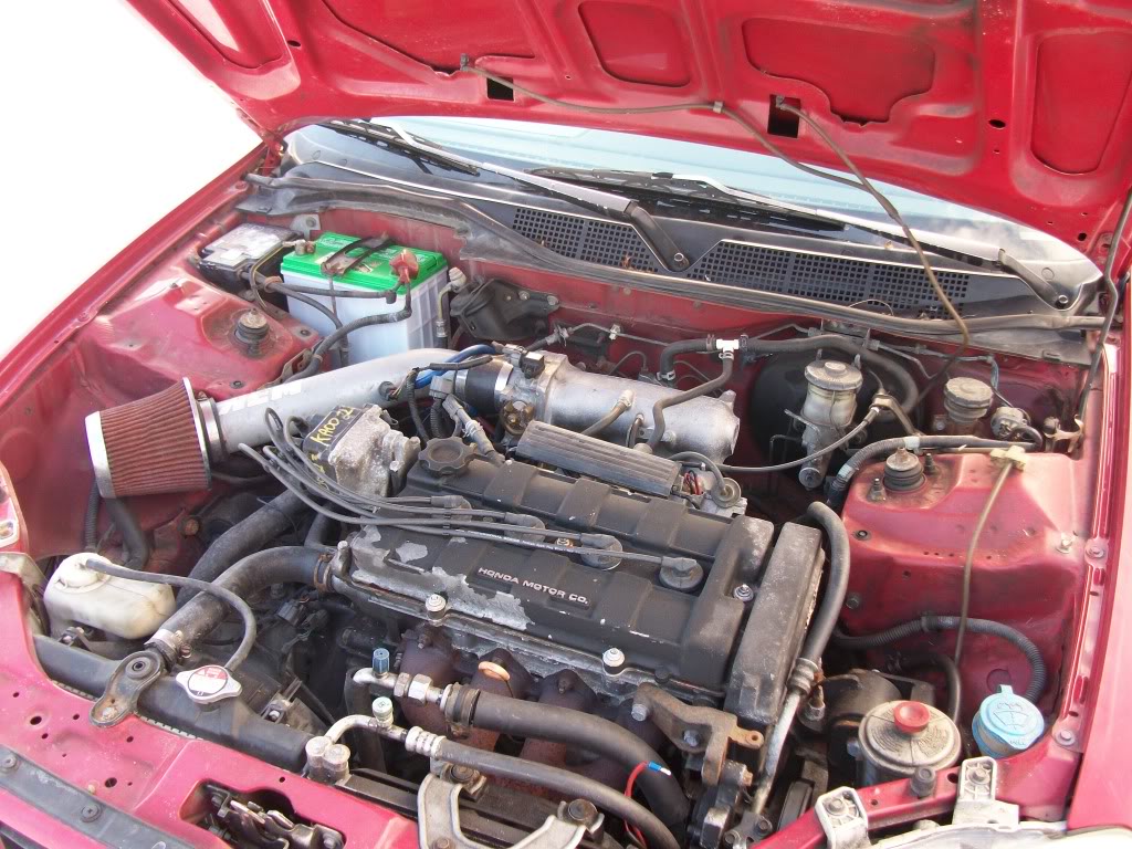 Name:  SANY0128.jpg
Views: 10
Size:  207.3 KB