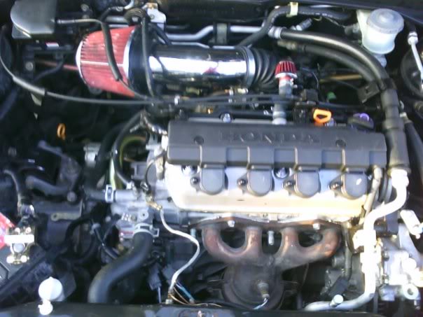 Name:  beforemotor.jpg
Views: 186
Size:  46.7 KB