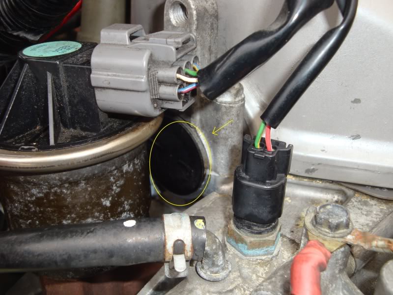 Name:  DSC03547.jpg
Views: 38
Size:  95.5 KB