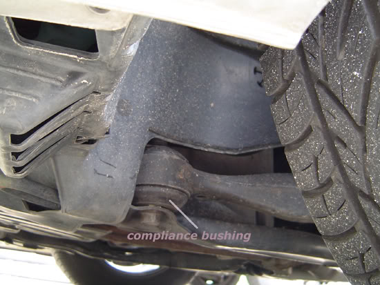 Name:  compfrntbush-1.jpg
Views: 509
Size:  51.4 KB
