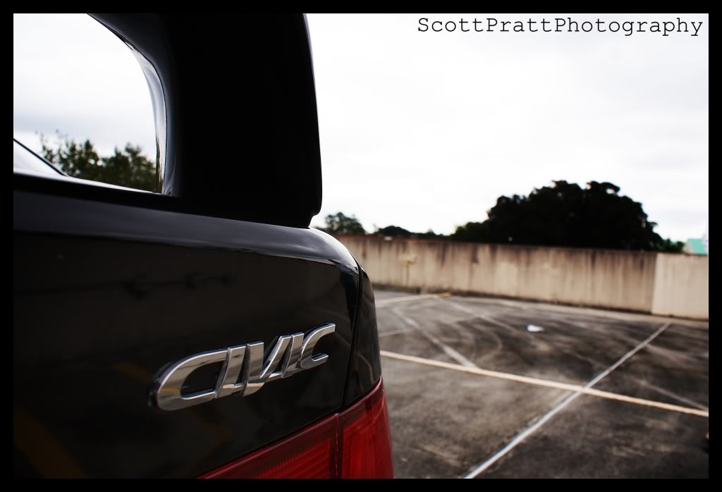 Name:  DSC03142.jpg
Views: 20
Size:  86.0 KB