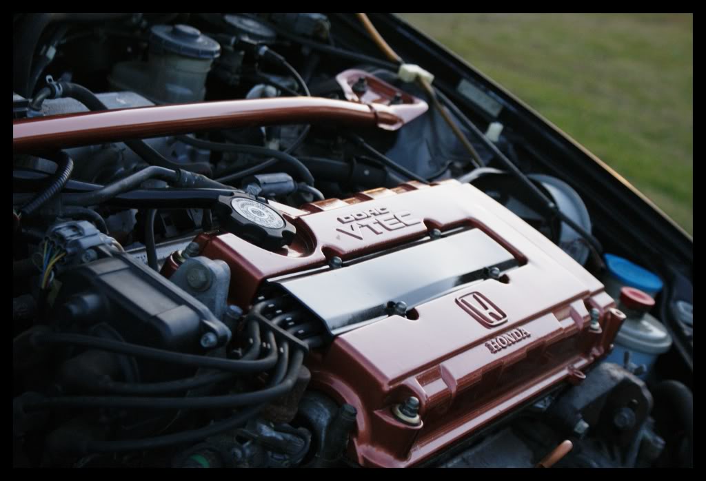 Name:  DSC03602.jpg
Views: 18
Size:  109.2 KB