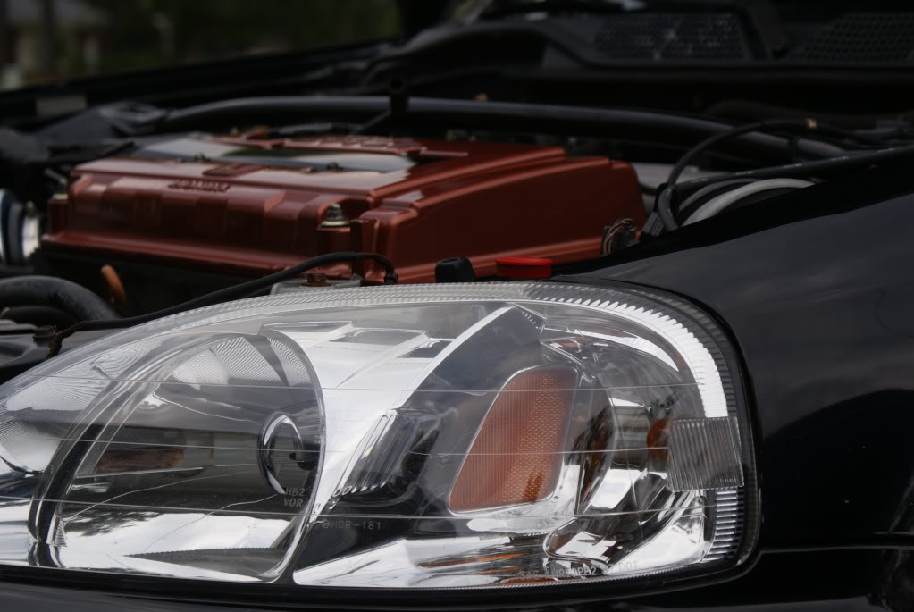 Name:  DSC02902.jpg
Views: 18
Size:  143.2 KB