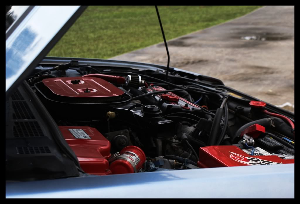 Name:  DSC02390.jpg
Views: 18
Size:  109.4 KB