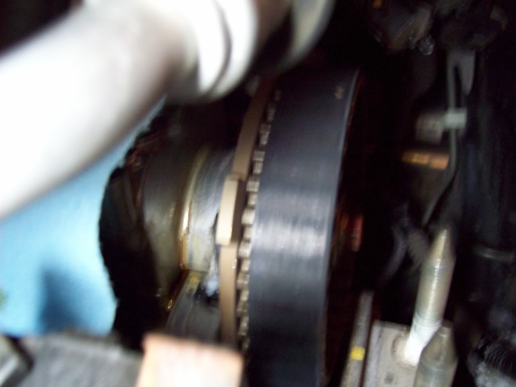 Name:  100_0318.jpg
Views: 103
Size:  67.4 KB