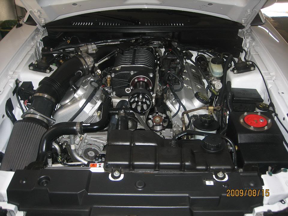 Name:  SaleenCobra99001-5.jpg
Views: 110
Size:  106.5 KB