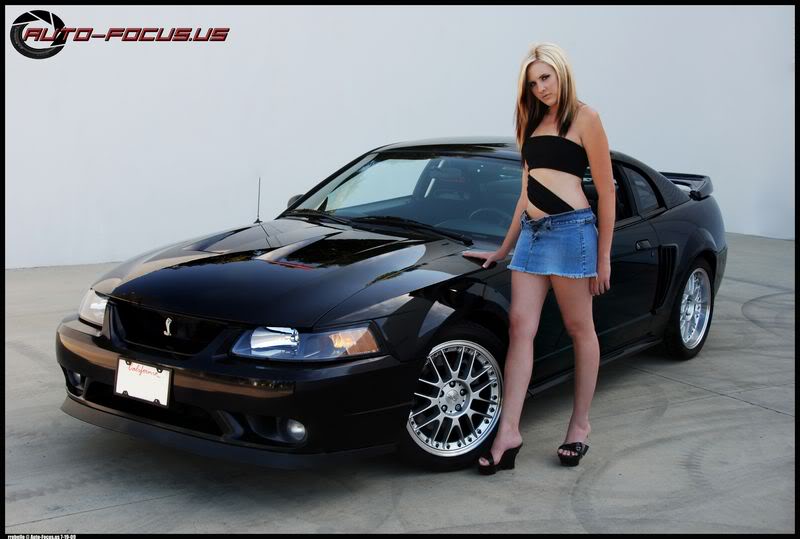 Name:  krystal01.jpg
Views: 68
Size:  54.9 KB