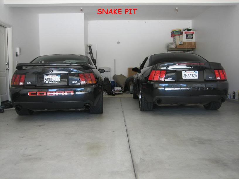 Name:  snakepit.jpg
Views: 119
Size:  45.8 KB