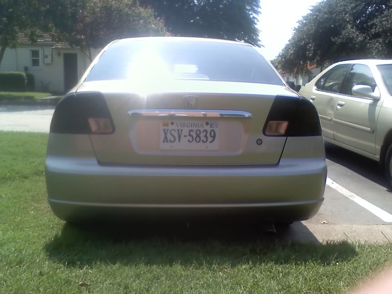 Name:  Blackedtails.jpg
Views: 26
Size:  72.3 KB