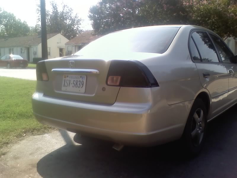 Name:  Blackedtails2.jpg
Views: 24
Size:  56.9 KB