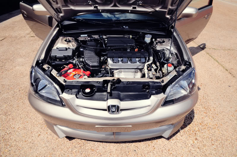 Name:  enginebay.jpg
Views: 297
Size:  138.8 KB