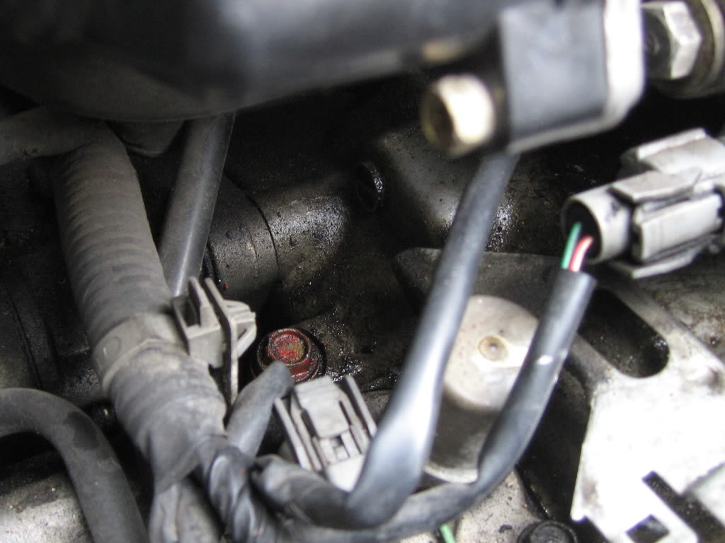 Name:  IMG_0235.jpg
Views: 445
Size:  101.3 KB