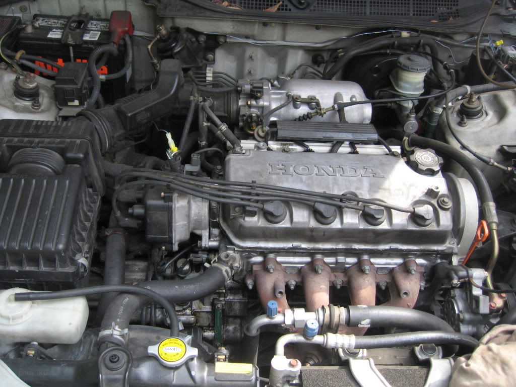 Name:  IMG_0232.jpg
Views: 411
Size:  167.5 KB