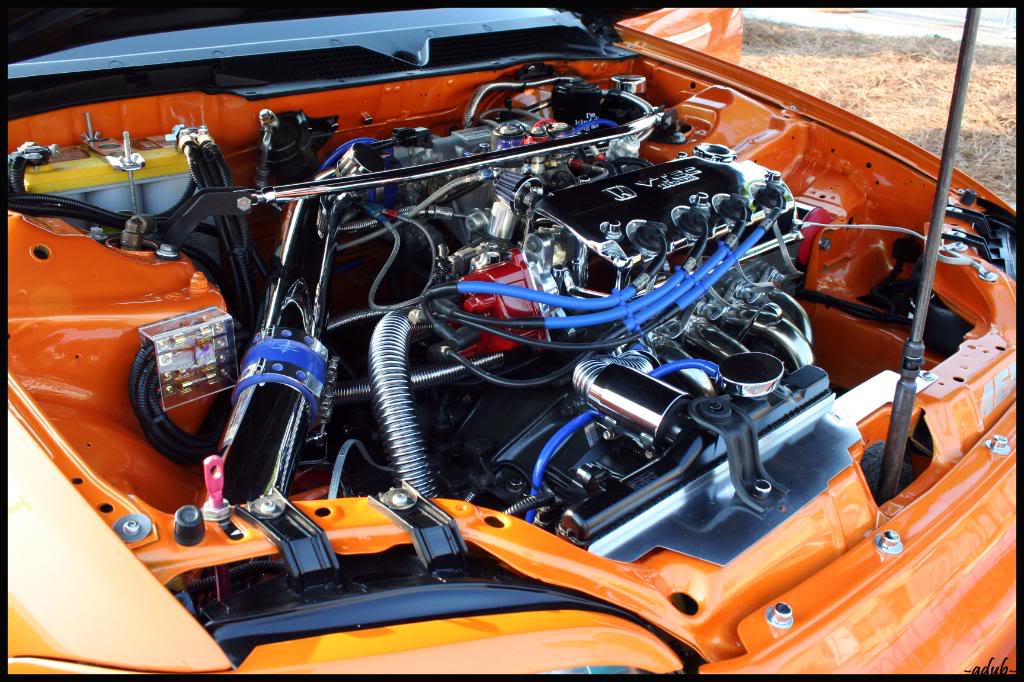 Name:  HIN08068copy.jpg
Views: 240
Size:  141.6 KB