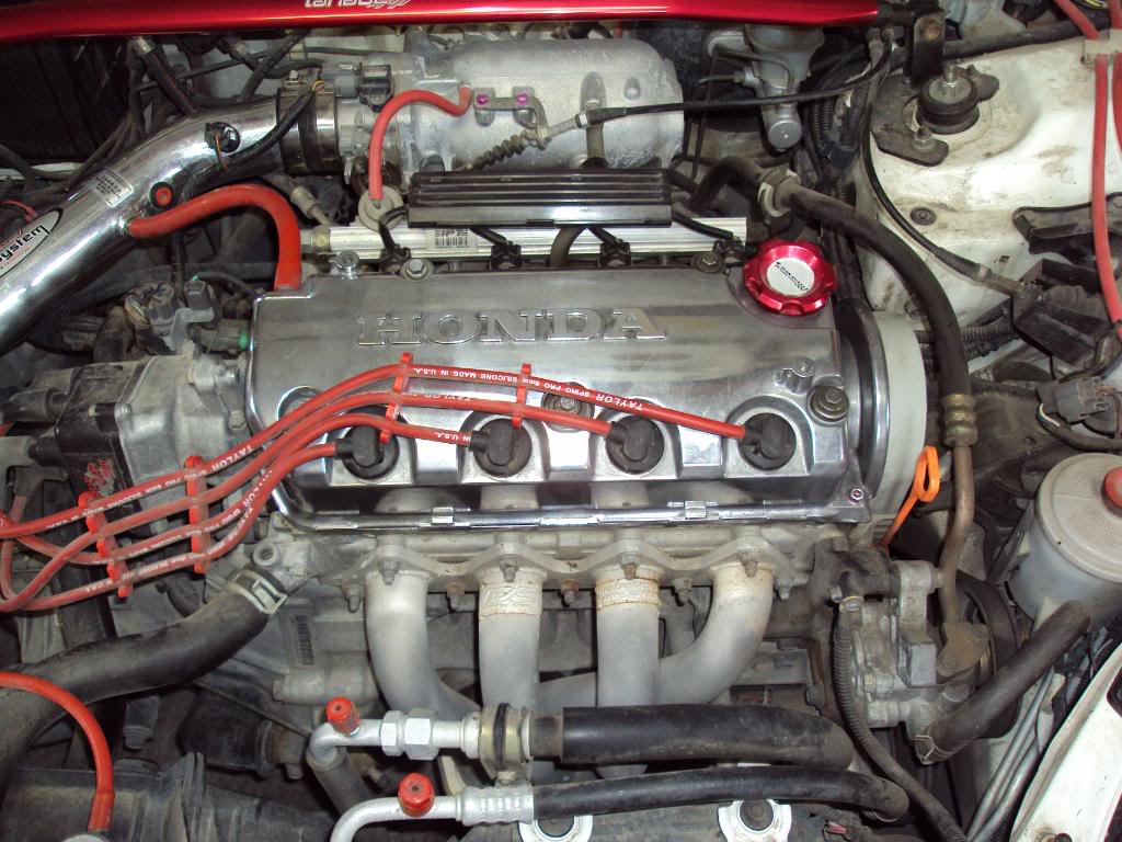 Name:  DSC00078.jpg
Views: 2297
Size:  145.7 KB