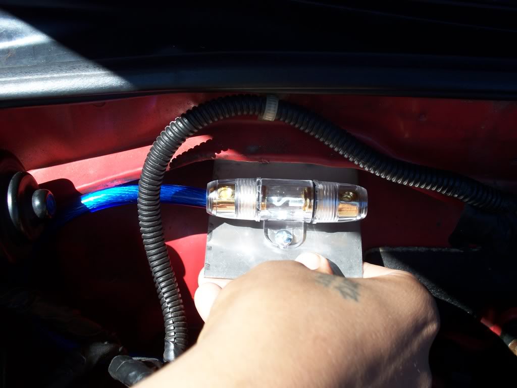 Name:  100_1178.jpg
Views: 153
Size:  80.8 KB