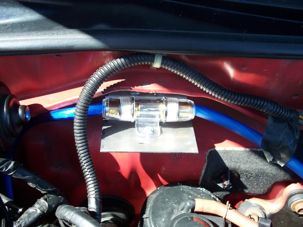 Name:  100_1181.jpg
Views: 138
Size:  123.3 KB