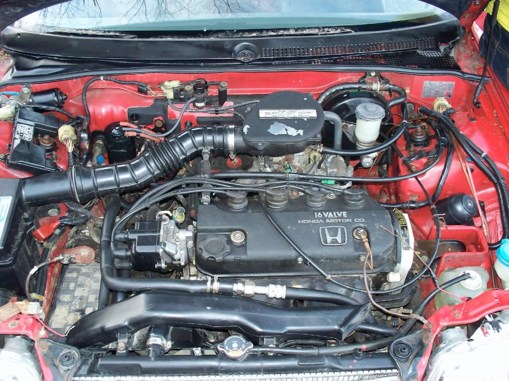 Name:  100_1131.jpg
Views: 136
Size:  178.3 KB