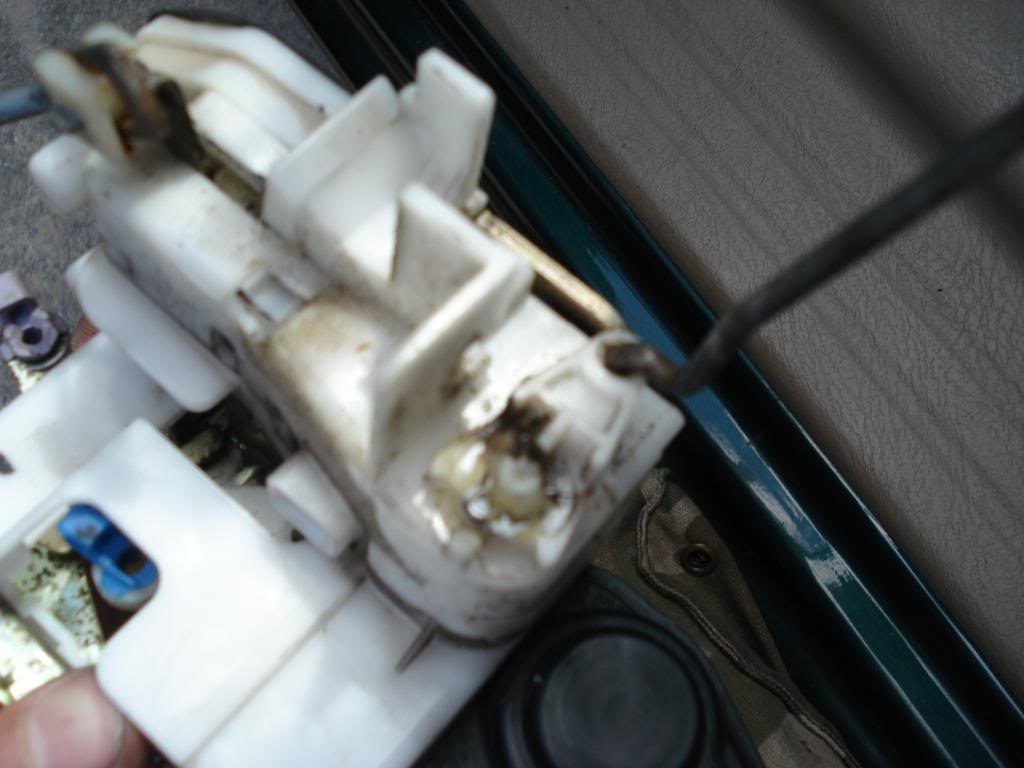 Name:  DSC03790.jpg
Views: 25183
Size:  68.8 KB