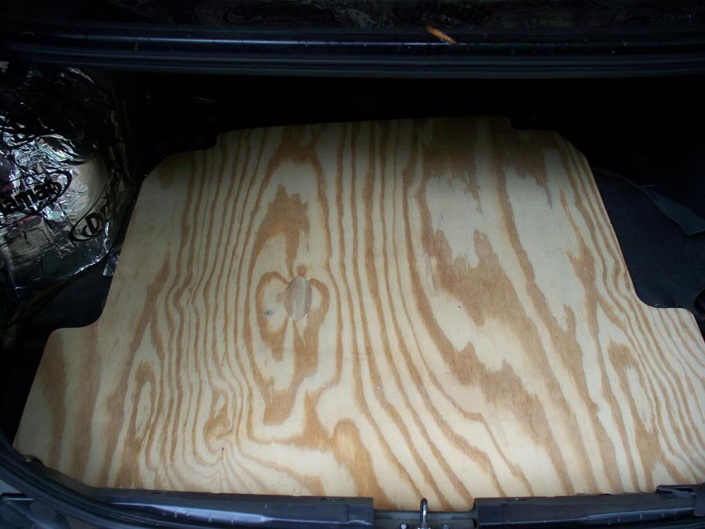 Name:  100_1299.jpg
Views: 145
Size:  83.5 KB