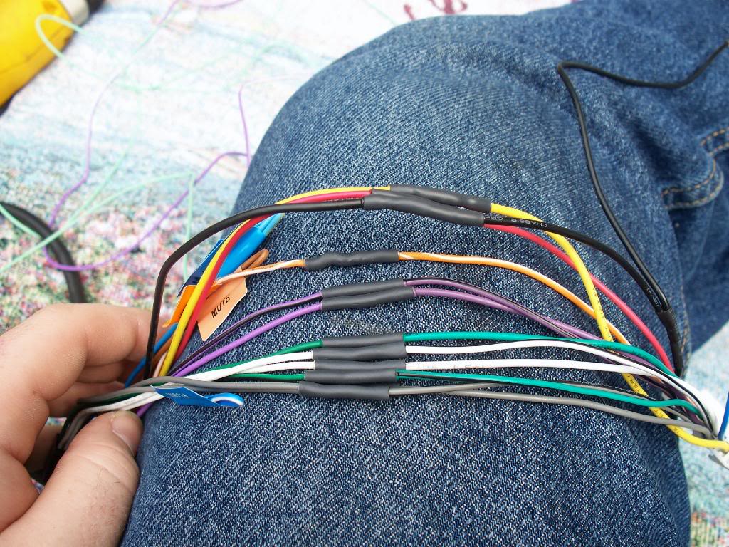 Name:  100_1342.jpg
Views: 155
Size:  208.3 KB