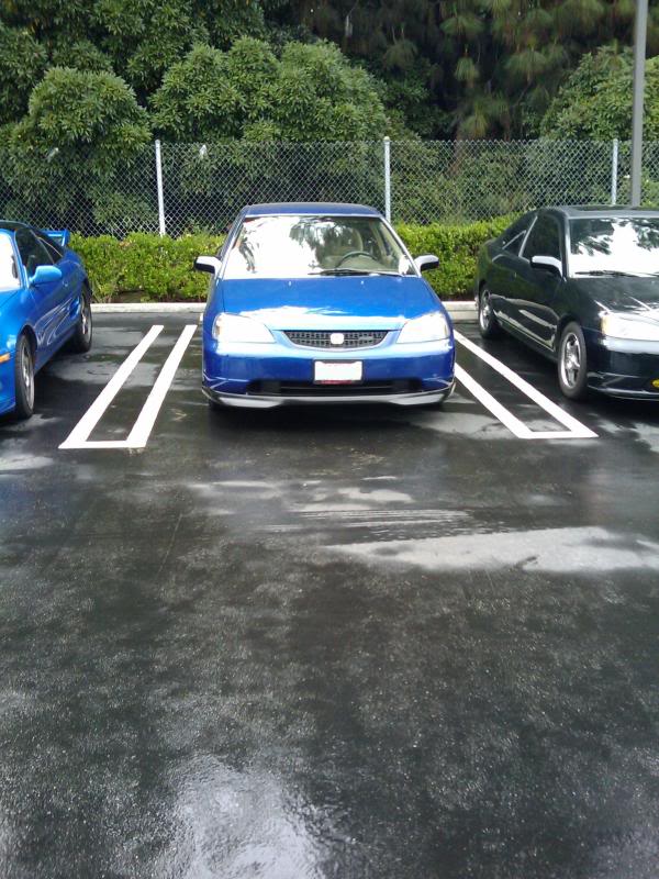 Name:  edit2009-06-131152vsfd.jpg
Views: 57
Size:  151.5 KB