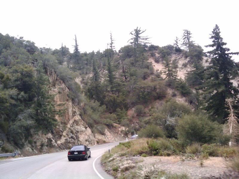 Name:  edit2009-06-131224sdfsd.jpg
Views: 52
Size:  116.9 KB