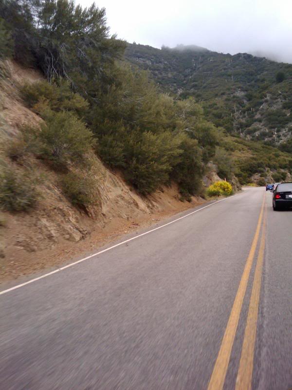 Name:  edit2009-06-13122547.jpg
Views: 58
Size:  100.2 KB