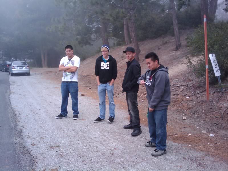 Name:  2009-06-13124441.jpg
Views: 22
Size:  83.7 KB