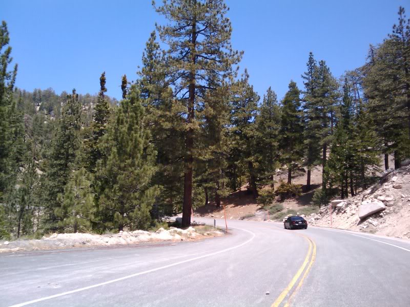 Name:  Copyof2009-06-13132428.jpg
Views: 60
Size:  102.2 KB