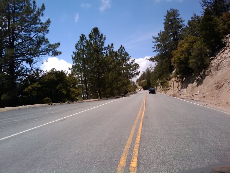 Name:  Copyof2009-06-13132444.jpg
Views: 58
Size:  83.6 KB