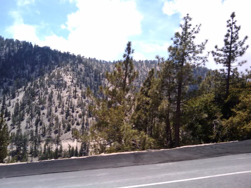 Name:  Copyof2009-06-13132457.jpg
Views: 18
Size:  94.9 KB