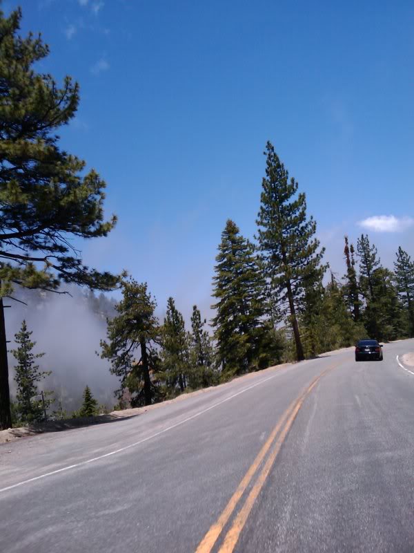 Name:  Copyof2009-06-13132832.jpg
Views: 56
Size:  69.7 KB