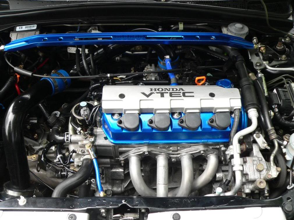 Name:  P1200656Large.jpg
Views: 977
Size:  114.2 KB