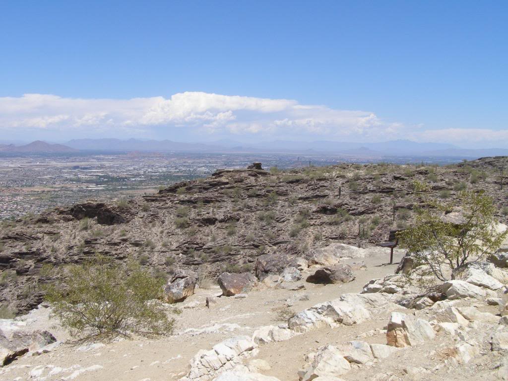 Name:  P5310009.jpg
Views: 24
Size:  129.2 KB