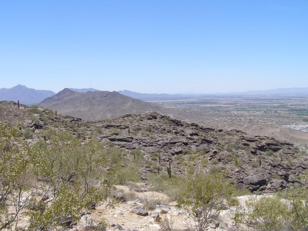 Name:  P5310010.jpg
Views: 21
Size:  134.9 KB