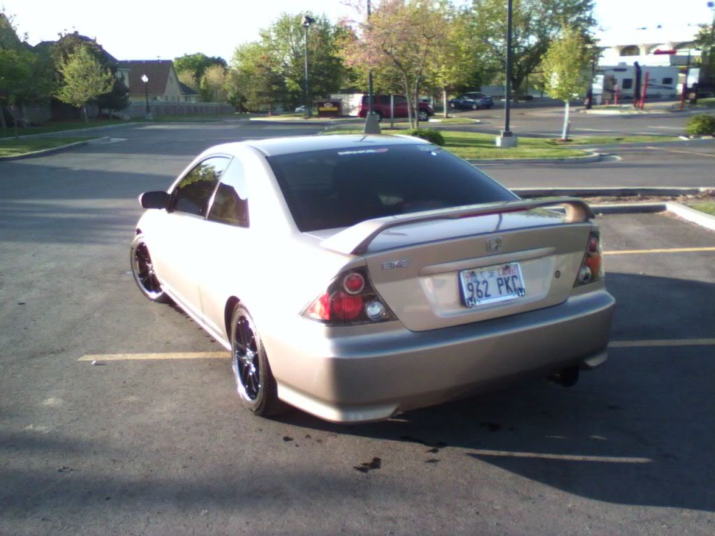 Name:  P_00178.jpg
Views: 129
Size:  95.0 KB