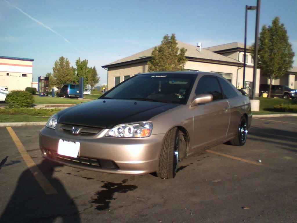 Name:  P_00176.jpg
Views: 129
Size:  77.6 KB