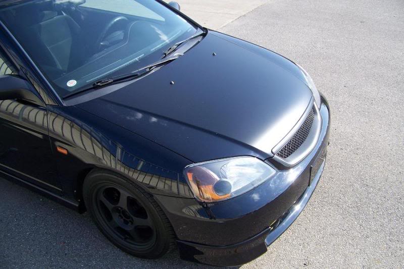Name:  hood3.jpg
Views: 125
Size:  81.1 KB