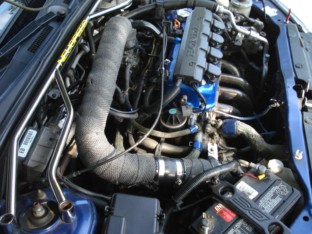 Name:  DSC01382.jpg
Views: 5928
Size:  184.9 KB