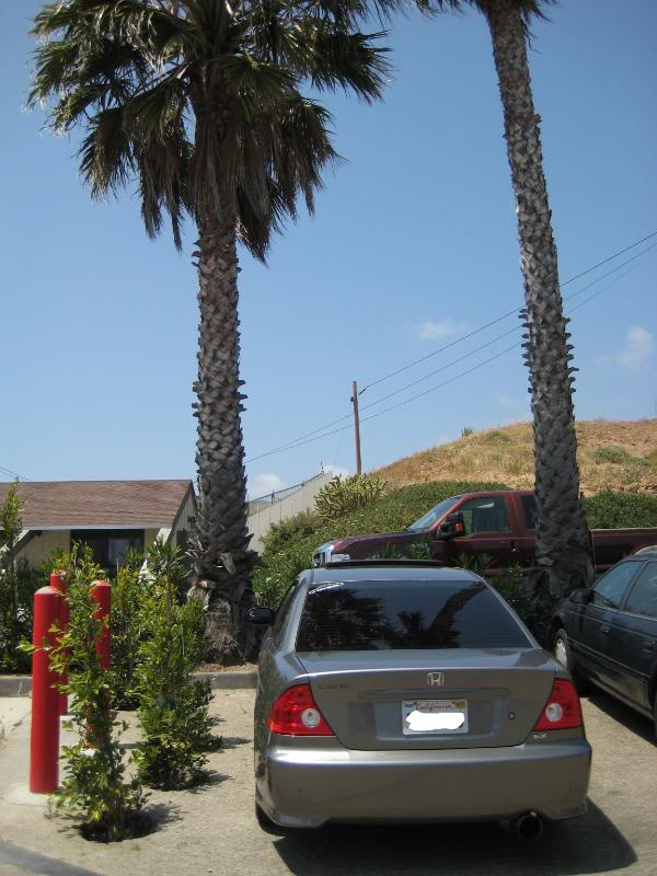 Name: img_7846.jpg
Views: 17
Size: 80.2 KB