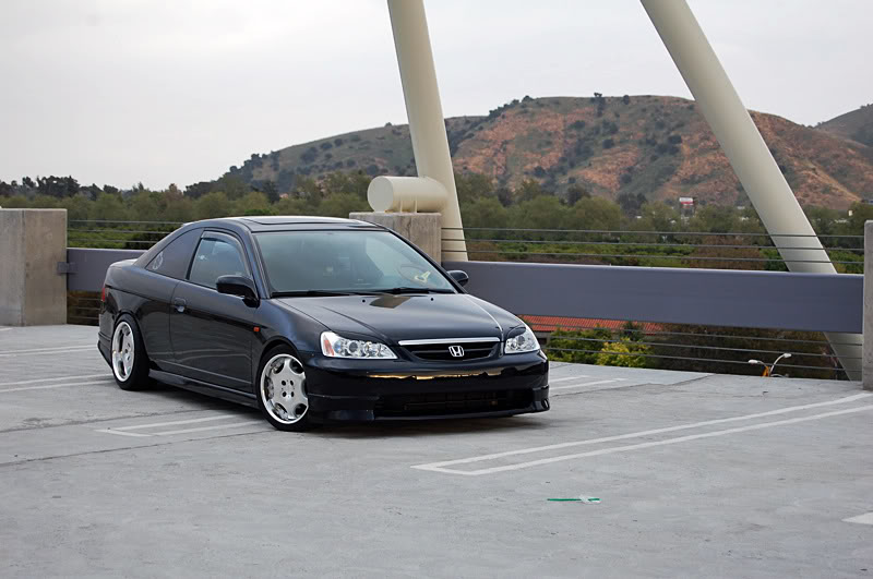 Name:  DSC_0438a.jpg
Views: 131
Size:  72.2 KB