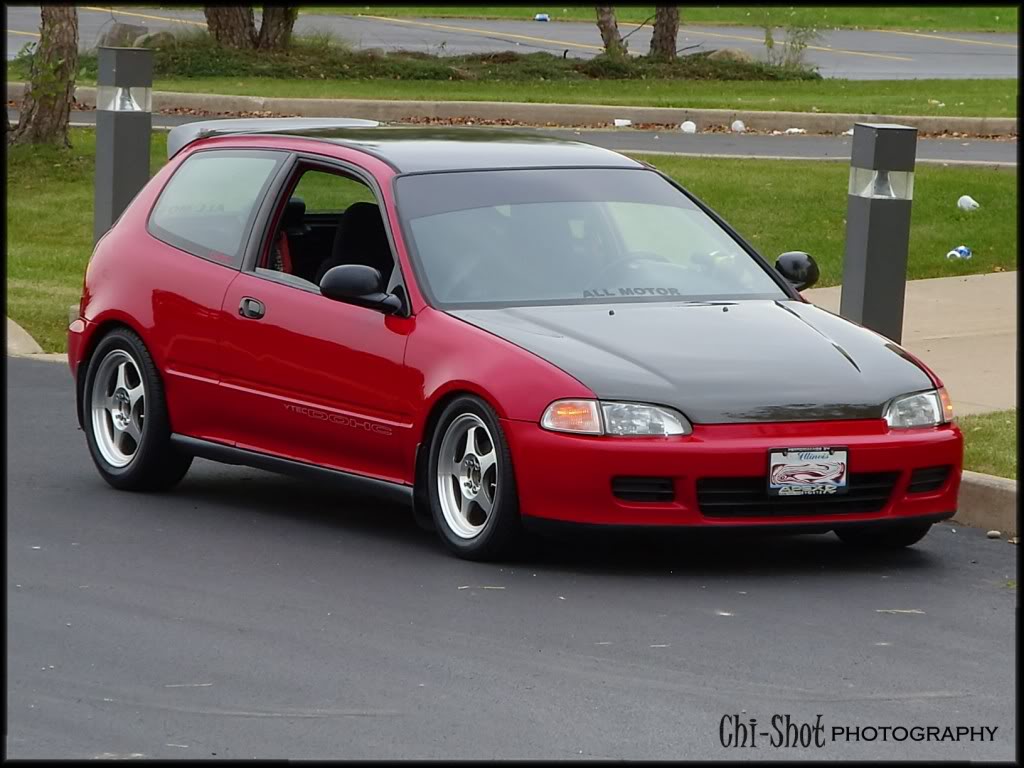 Name:  chihatch2.jpg
Views: 621
Size:  105.0 KB