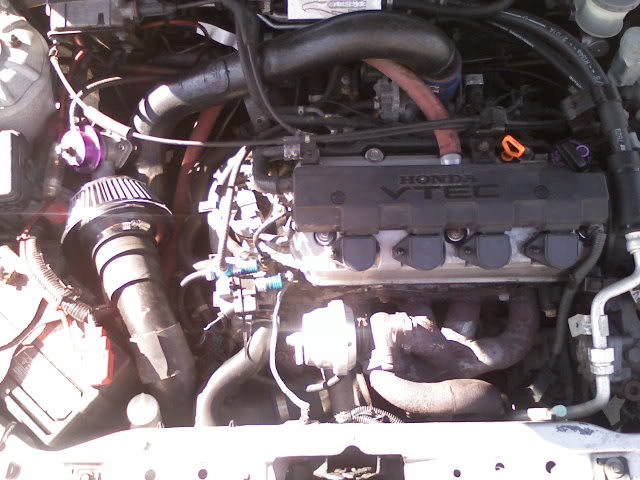 Name:  enginebay.jpg
Views: 517
Size:  62.6 KB