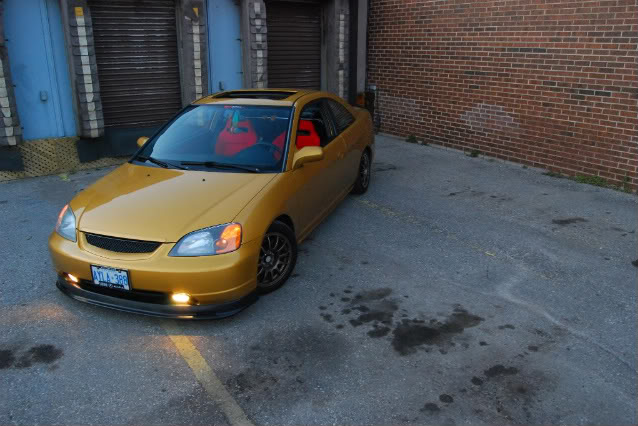 Name:  DSC_0417-1-2.jpg
Views: 1893
Size:  66.6 KB