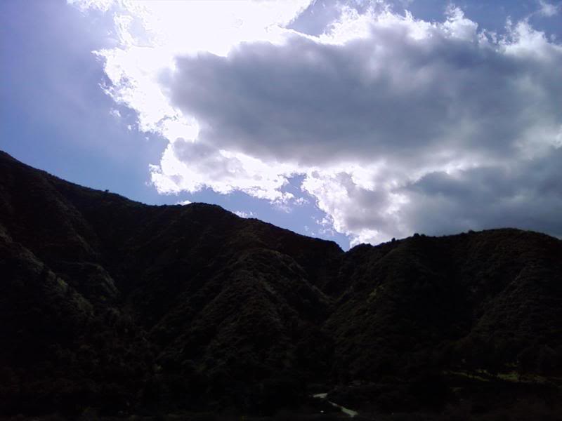 Name:  0322091537-00.jpg
Views: 20
Size:  32.0 KB